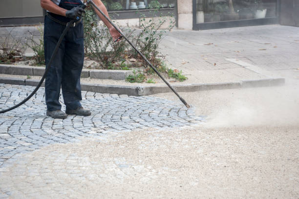 Animal Enclosure Cleaning in Palos Hills, IL